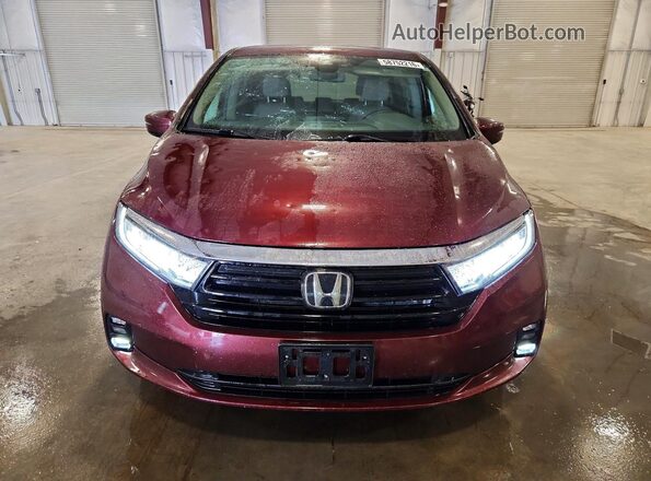 5FNRL6H52MB021330 2021 HONDA ODYSSEY Maroon Front view