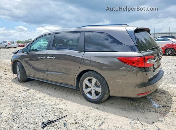 5FNRL6H53KB060103 2019 HONDA ODYSSEY Gray Задня ліва чверть