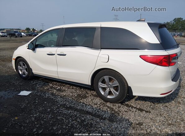 5FNRL6H53KB116296 2019 HONDA ODYSSEY White Սալոնի 360 աստիճան տեսք