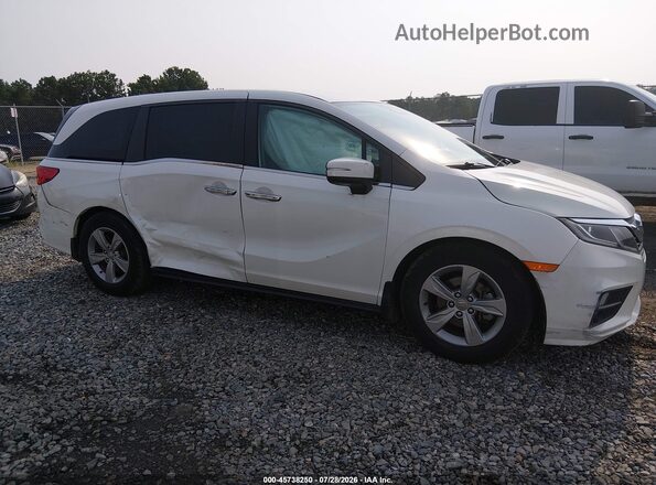 5FNRL6H53KB116296 2019 HONDA ODYSSEY White Սալոնի հետևի տեսք