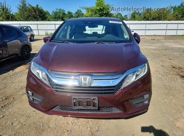 5FNRL6H54KB060045 2019 HONDA ODYSSEY Burgundy Front view