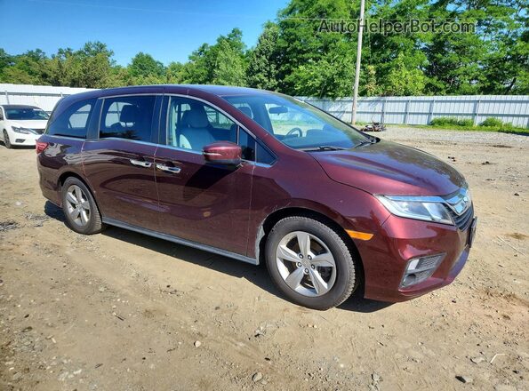 5FNRL6H54KB060045 2019 HONDA ODYSSEY Burgundy Front right