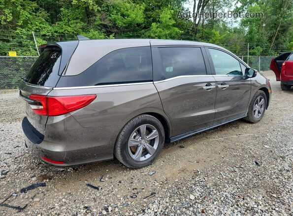 5FNRL6H55PB041222 2023 HONDA ODYSSEY Charcoal Задня права чверть