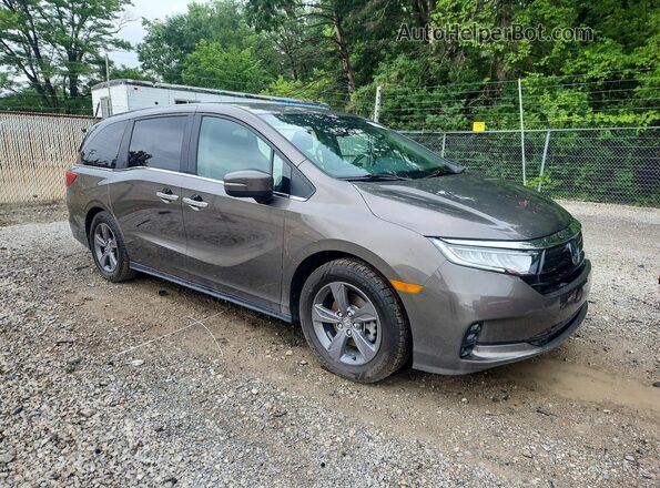 5FNRL6H55PB041222 2023 HONDA ODYSSEY Charcoal Передня права чверть