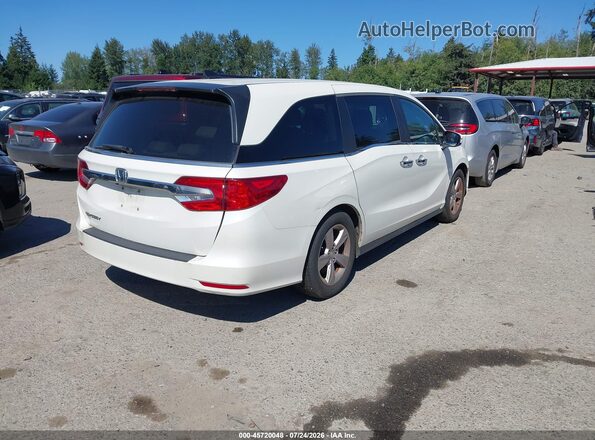 5FNRL6H56JB091635 2018 HONDA ODYSSEY  Trasero derecho