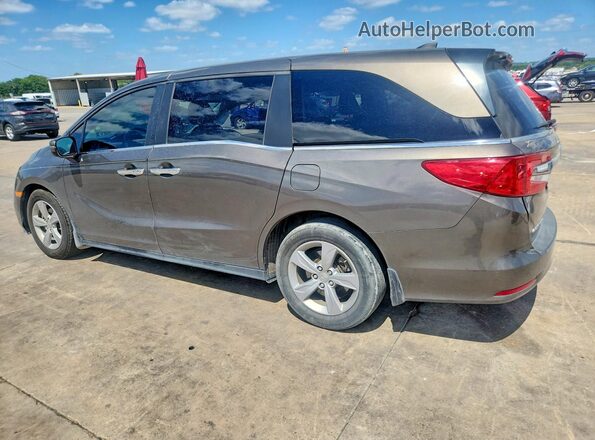 5FNRL6H56KB020503 2019 HONDA ODYSSEY Gray Հետևի ձախ