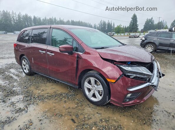 5FNRL6H56KB087425 2019 HONDA ODYSSEY Burgundy წინა მარჯვენა