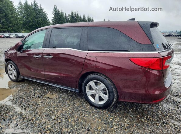 5FNRL6H56KB087425 2019 HONDA ODYSSEY Burgundy უკანა მარცხენა