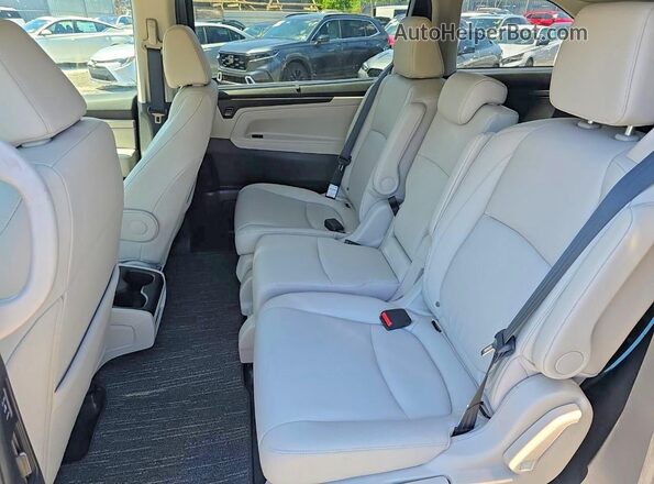 5FNRL6H60SB004824 2025 HONDA ODYSSEY Серый Вид задней части салона