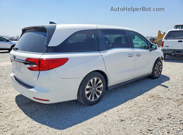 5FNRL6H61RB056456 2024 HONDA ODYSSEY White Rear right