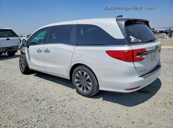 5FNRL6H61RB056456 2024 HONDA ODYSSEY White Rear left