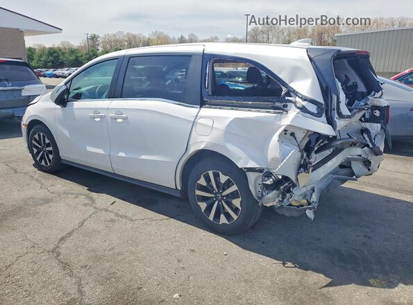 5FNRL6H62SB049232 2025 HONDA ODYSSEY White Rear left