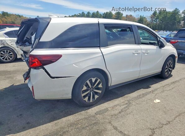 5FNRL6H62SB049232 2025 HONDA ODYSSEY White Rear right