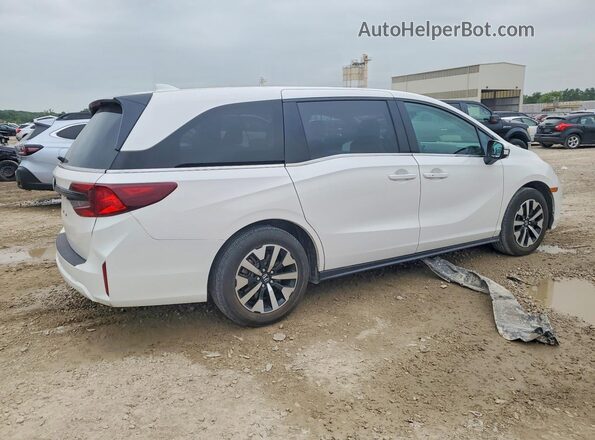 5FNRL6H62SB069285 2025 HONDA ODYSSEY White Tył prawy