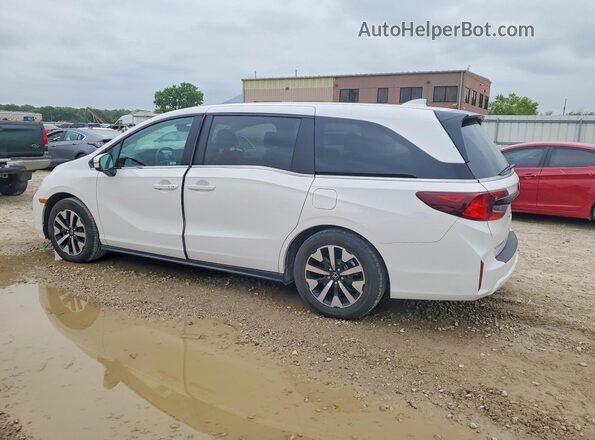 5FNRL6H62SB069285 2025 HONDA ODYSSEY White Tył lewy