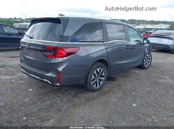 5FNRL6H62SB073725 2025 HONDA ODYSSEY Gray უკანა მარჯვენა