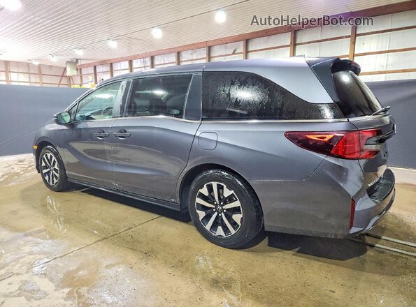 5FNRL6H62SB080142 2025 HONDA ODYSSEY Серый Задняя левая четверть