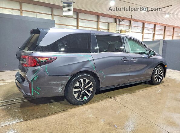 5FNRL6H62SB080142 2025 HONDA ODYSSEY Серый Задняя правая четверть