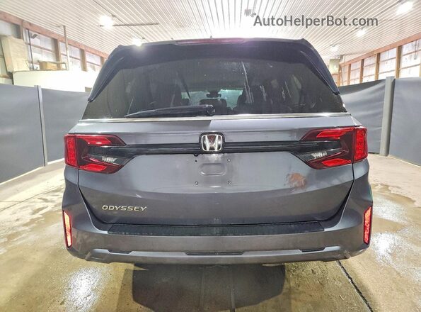 5FNRL6H62SB080142 2025 HONDA ODYSSEY Серый Вид сзади