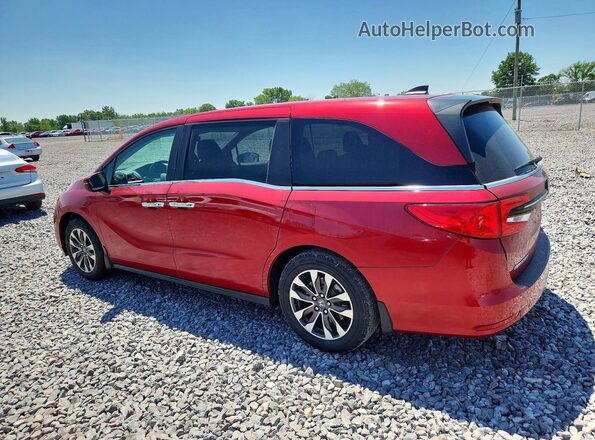 5FNRL6H63RB007159 2024 HONDA ODYSSEY Red Tył lewy
