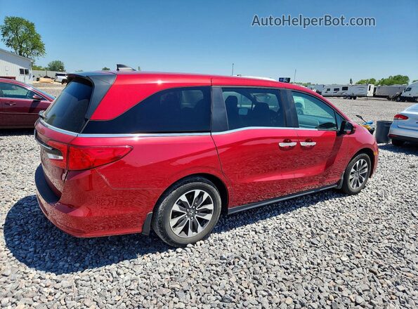 5FNRL6H63RB007159 2024 HONDA ODYSSEY Red Tył prawy