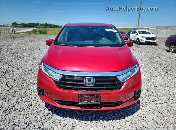 5FNRL6H63RB007159 2024 HONDA ODYSSEY Red Widok z przodu