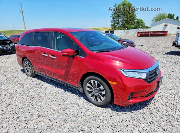 5FNRL6H63RB007159 2024 HONDA ODYSSEY Red Przód prawy