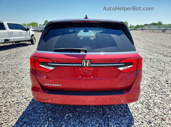 5FNRL6H63RB007159 2024 HONDA ODYSSEY Red Widok z tyłu