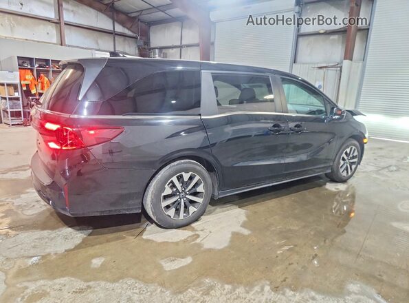 5FNRL6H63SB079436 2025 HONDA ODYSSEY Черный Задняя правая четверть