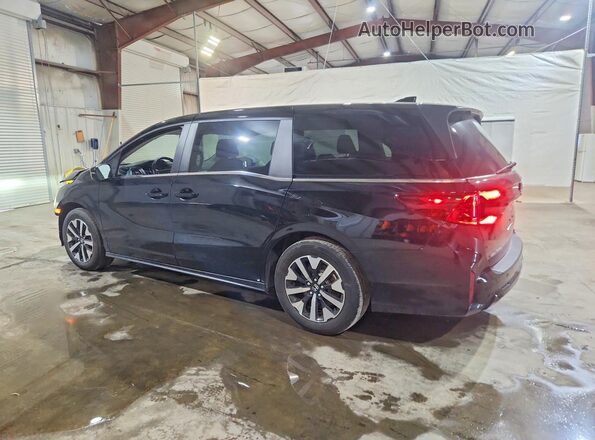 5FNRL6H63SB079436 2025 HONDA ODYSSEY Черный Задняя левая четверть