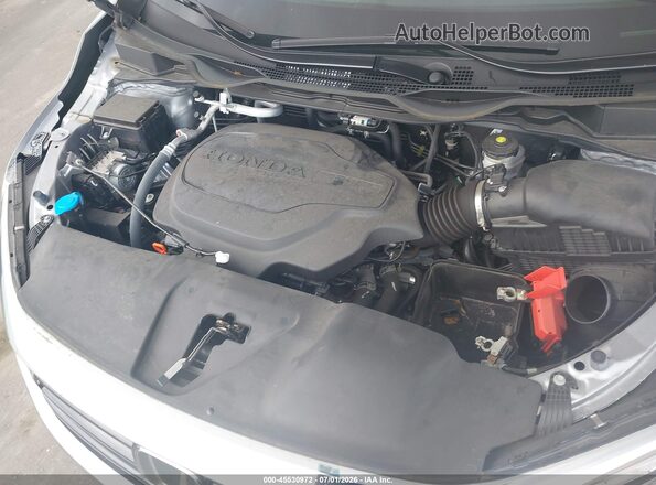 5FNRL6H64RB011883 2024 HONDA ODYSSEY Silver Widok z tyłu
