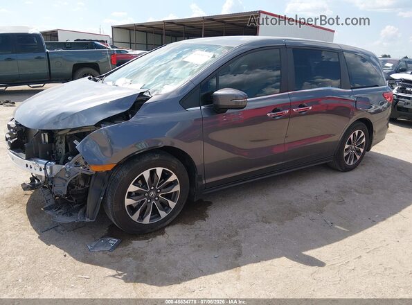 5FNRL6H64RB041577 2024 HONDA ODYSSEY Gray Przód lewy