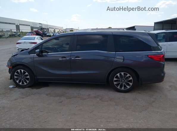 5FNRL6H64RB041577 2024 HONDA ODYSSEY Gray Widok wnętrza 360 stopni