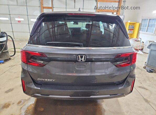 5FNRL6H64SB073998 2025 HONDA ODYSSEY Gray Widok z tyłu