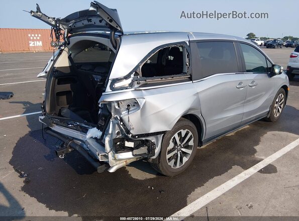 5FNRL6H64TB010658 2026 HONDA ODYSSEY Gray Rear right