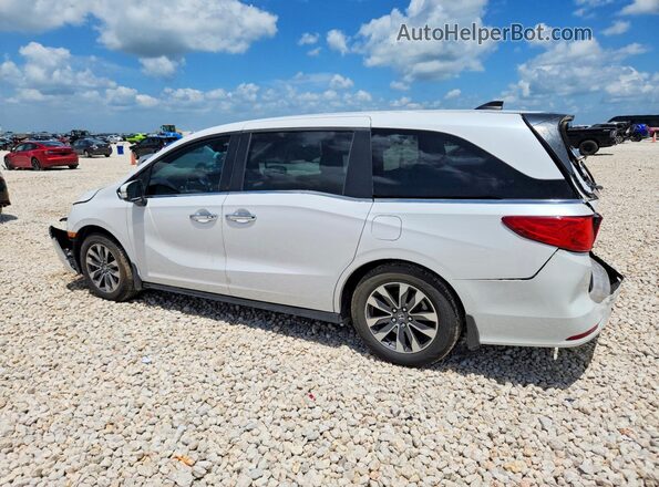 5FNRL6H65RB018969 2024 HONDA ODYSSEY White Tył lewy