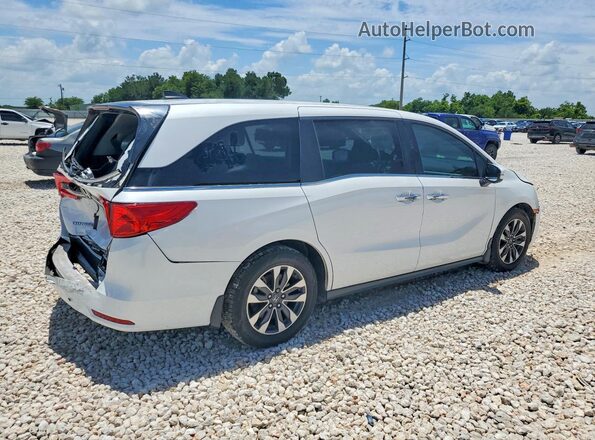 5FNRL6H65RB018969 2024 HONDA ODYSSEY White Tył prawy