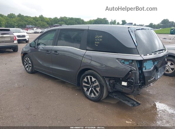 5FNRL6H66SB030599 2025 HONDA ODYSSEY Gray Задня ліва чверть