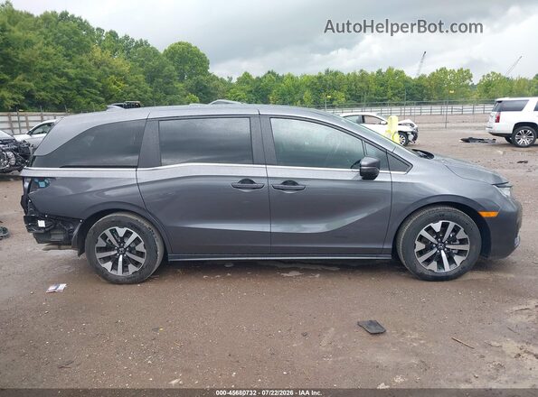 5FNRL6H66SB030599 2025 HONDA ODYSSEY Gray Вид задньої частини салону