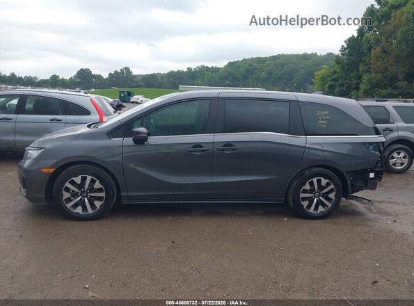 5FNRL6H66SB030599 2025 HONDA ODYSSEY Gray Панорамний вид салону 360°