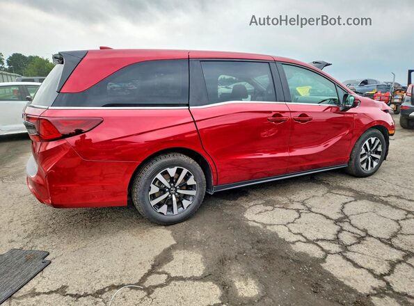 5FNRL6H67SB007963 2025 HONDA ODYSSEY Red Rear right