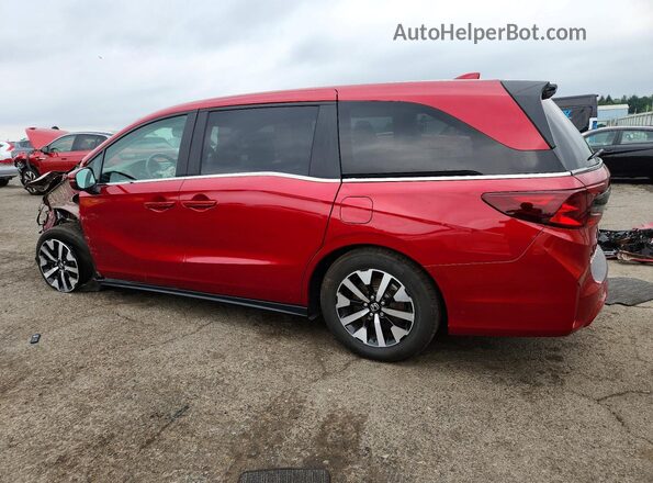 5FNRL6H67SB007963 2025 HONDA ODYSSEY Red Rear left