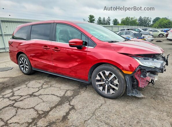 5FNRL6H67SB007963 2025 HONDA ODYSSEY Red Front right