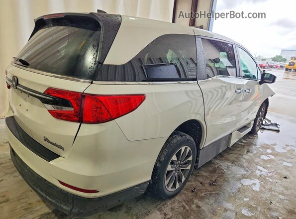 5FNRL6H68RB068894 2024 HONDA ODYSSEY White უკანა მარჯვენა