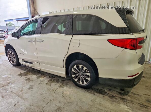 5FNRL6H68RB068894 2024 HONDA ODYSSEY White უკანა მარცხენა
