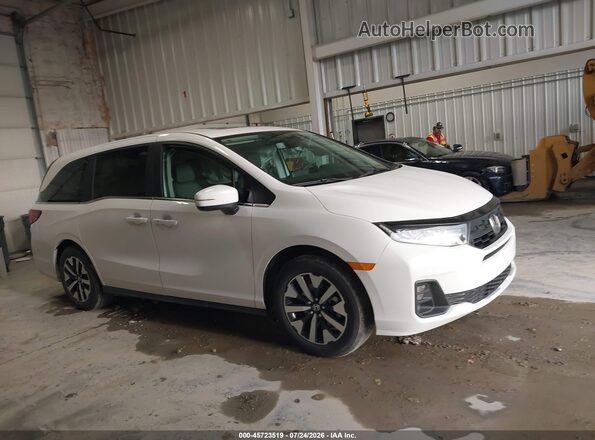 5FNRL6H68TB068515 2026 HONDA ODYSSEY White Vista interior trasera