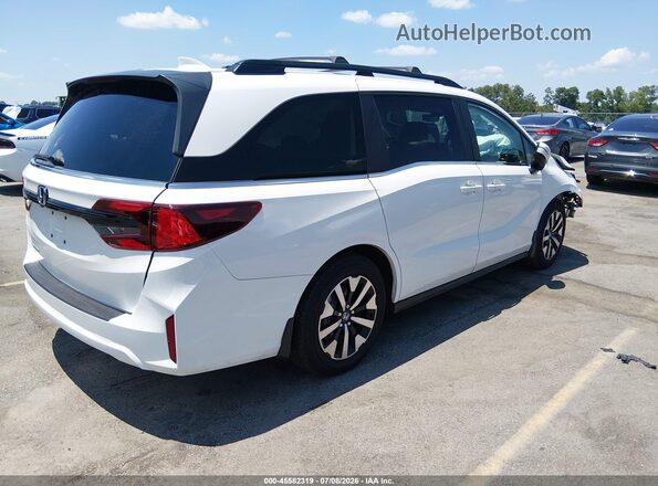 5FNRL6H69TB023504 2026 HONDA ODYSSEY White Tył prawy