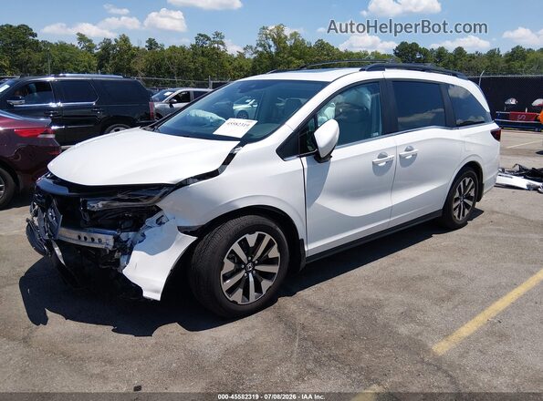 5FNRL6H69TB023504 2026 HONDA ODYSSEY White Przód lewy