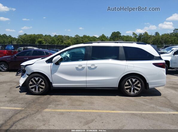 5FNRL6H69TB023504 2026 HONDA ODYSSEY White 