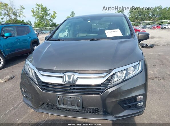 5FNRL6H70KB092492 2019 HONDA ODYSSEY Gray Вид задньої частини салону